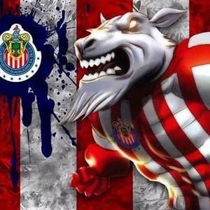 Meet your Posher, Ventura